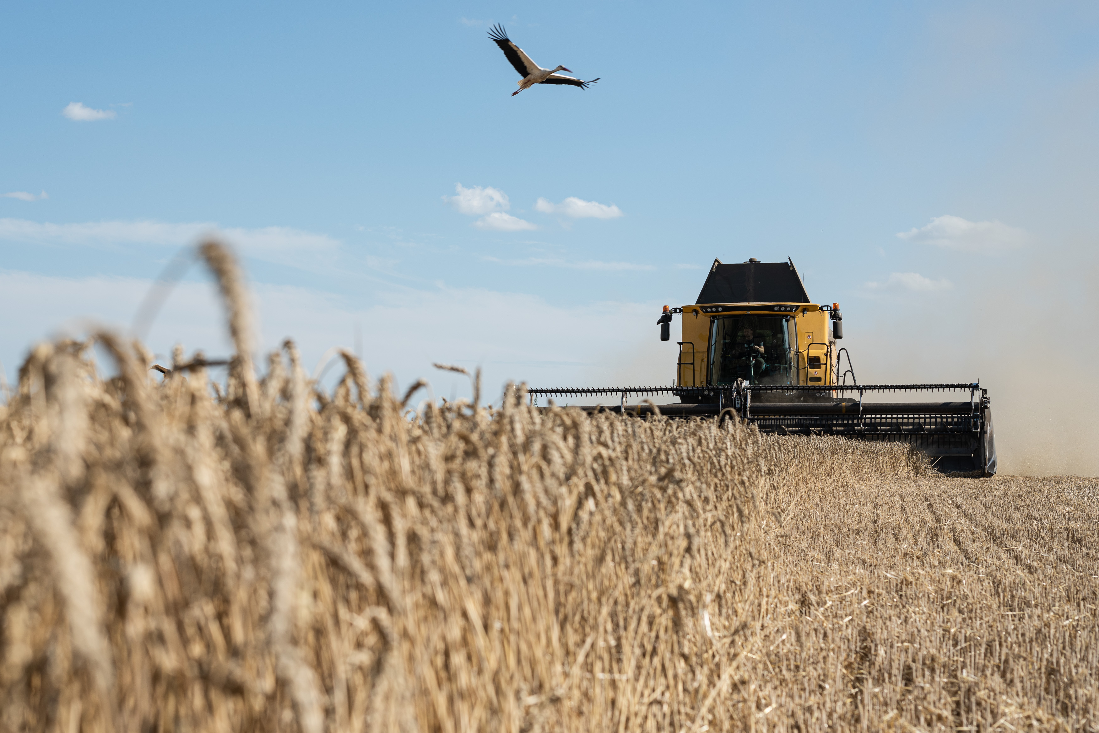 A combine harvester of TVK Seed agricultural company harvests wheat near Myronivka, Ukraine.
