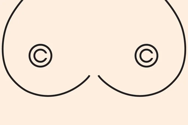 Prenda Law, the Porn Copyright Trolls