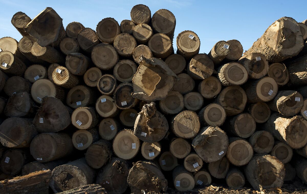 Lumber Prices Soar on Tight Supply, Trade Tariffs - Bloomberg