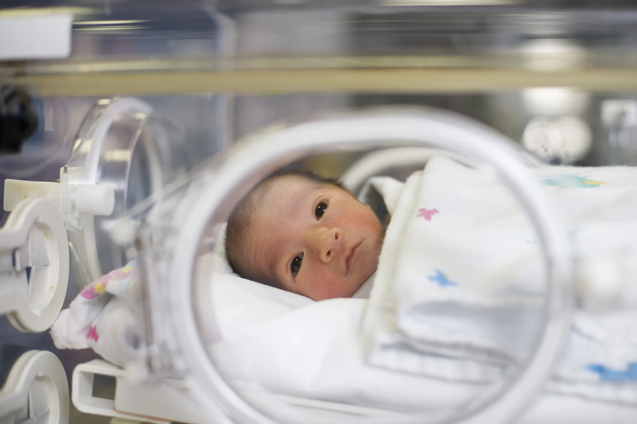 A new study finds that an immigration enforcement program could cause adverse health effects for babies.&nbsp;