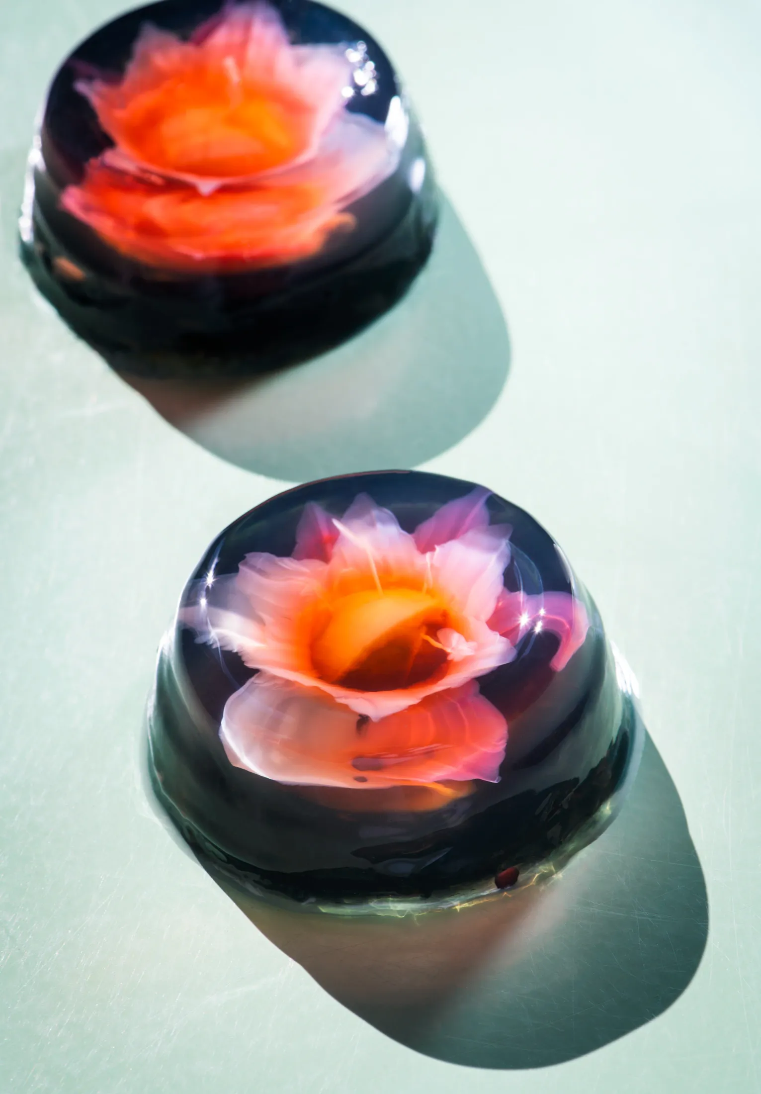 Edible flowers in Solid Wiggles’ jello shots are made from mint-infused milk.