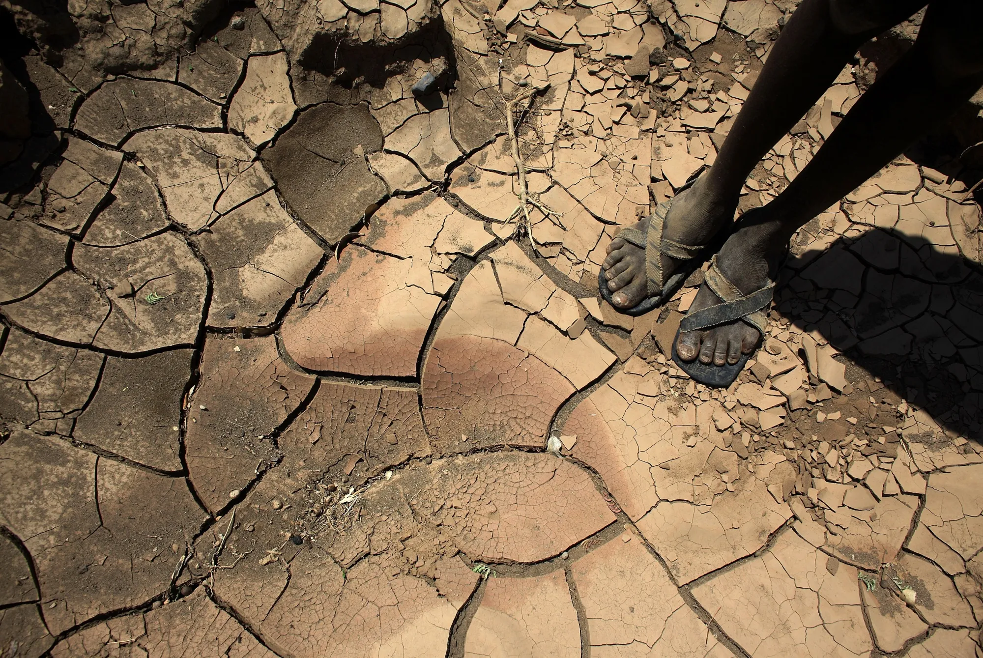 A dried-up river bed in Kenya.&nbsp;