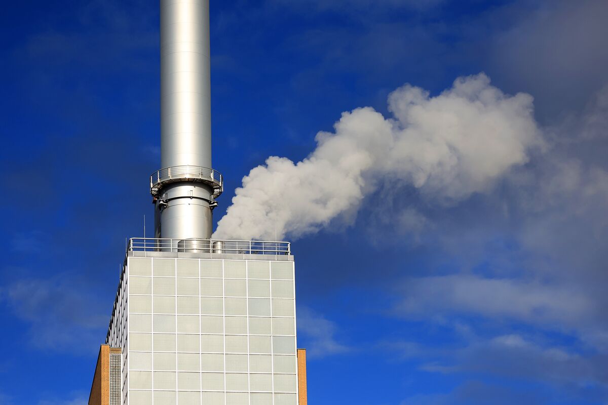 Fund Managers’ NetZero Path ‘Irrevocably Flawed,’ Study Finds Bloomberg