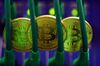 1505184354_bitcoin hacking
