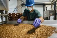 Venture Capitalists Plunge $125 Million Into French Mealworm Breeder Ynsect