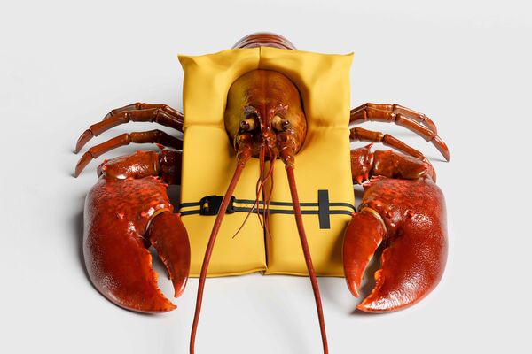 Red Lobster’s Last Gasp
