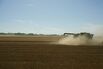 A Wheat Harvest As Crop Futures Sink To Pre-War Levels