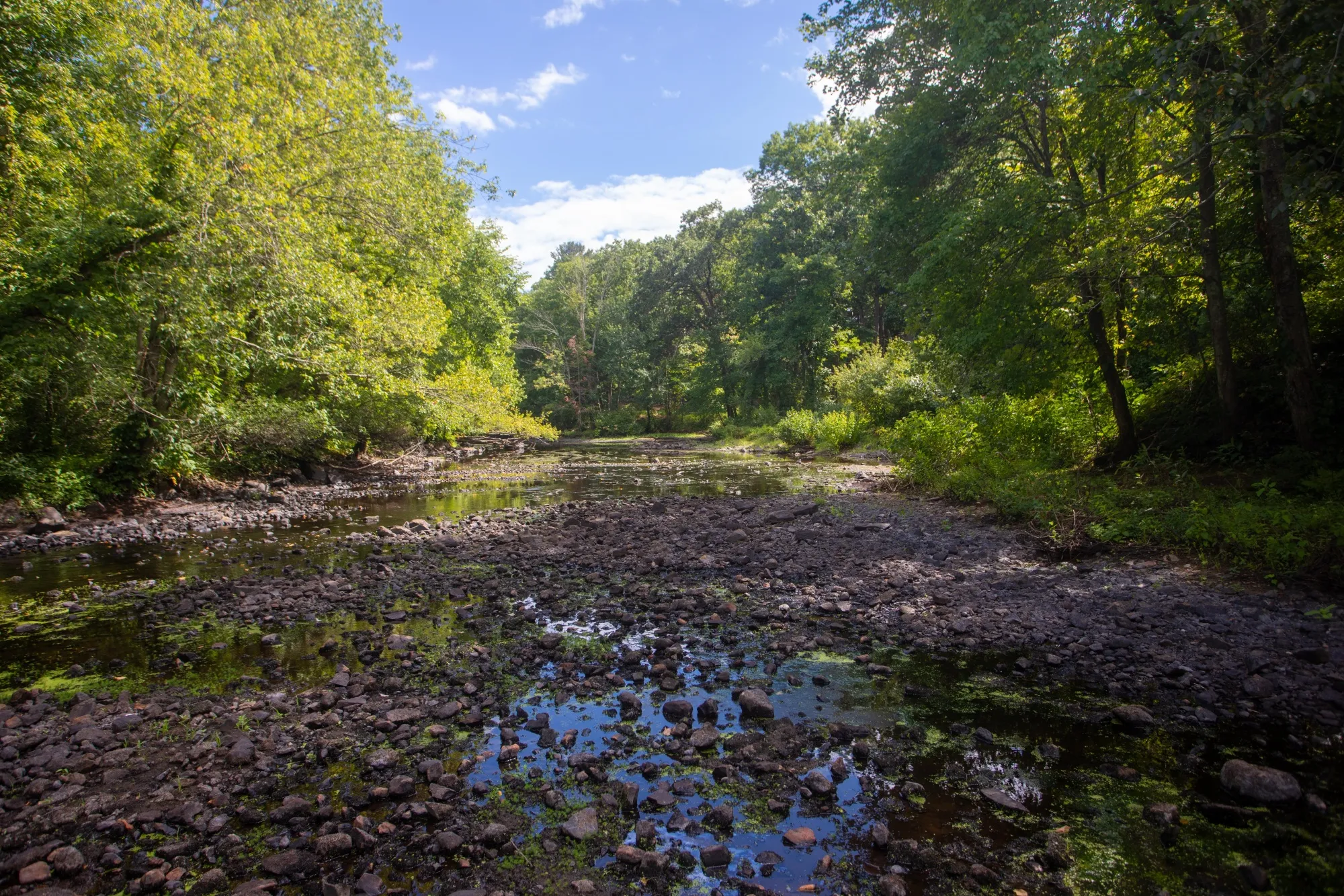The Charles River in Massachusetts