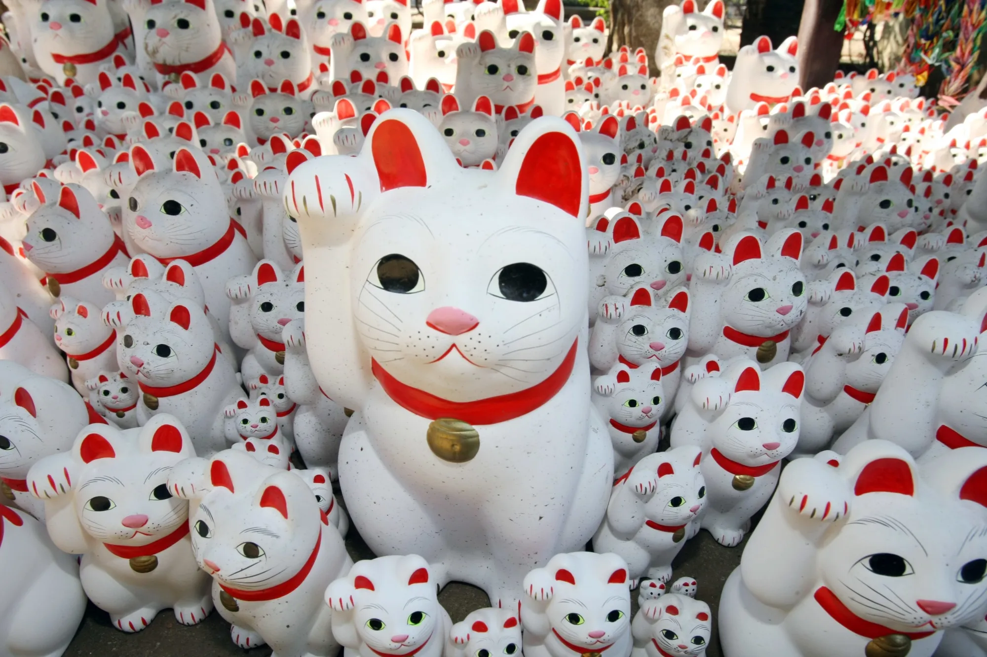 So many maneki-neko.