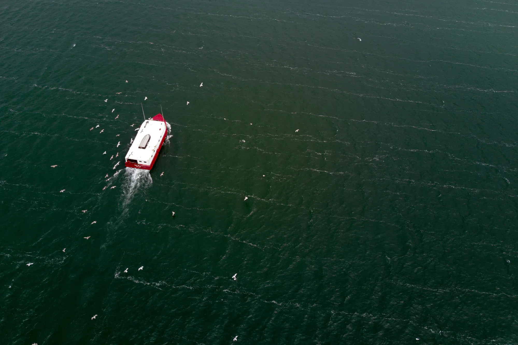 A&nbsp;fishing boat on Lake Erie.&nbsp;