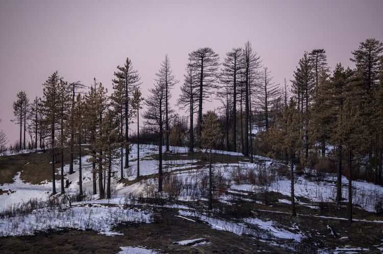 Over 4 Million Acres Burned During 2020 California Wildfire Season