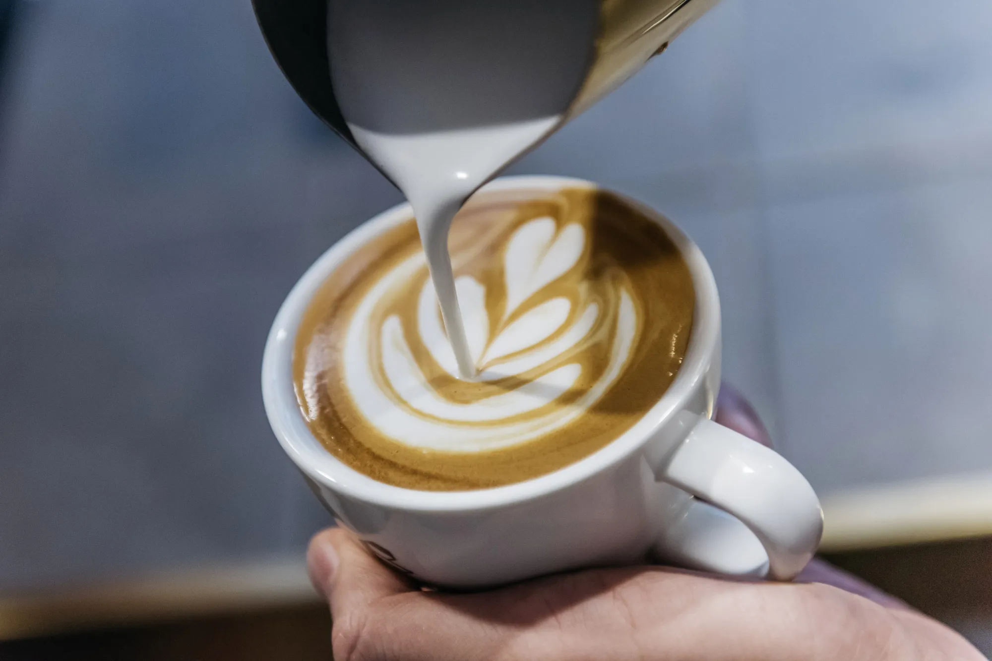 Inside The Roastery Lab by Coffee Academics Research and Development Facility