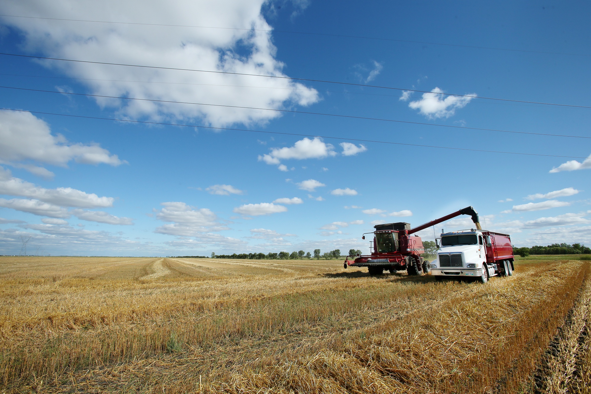 Oats are loaded into a grain truck during harvest at the Qually Farm near Dacotah, Manitoba, Canada.