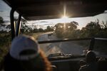 Tourists watch wildlife in Kruger National Park, South Africa.