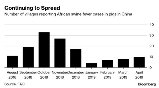 Hong Kong Says Pigs to Be Culled Before China Supply Resumes