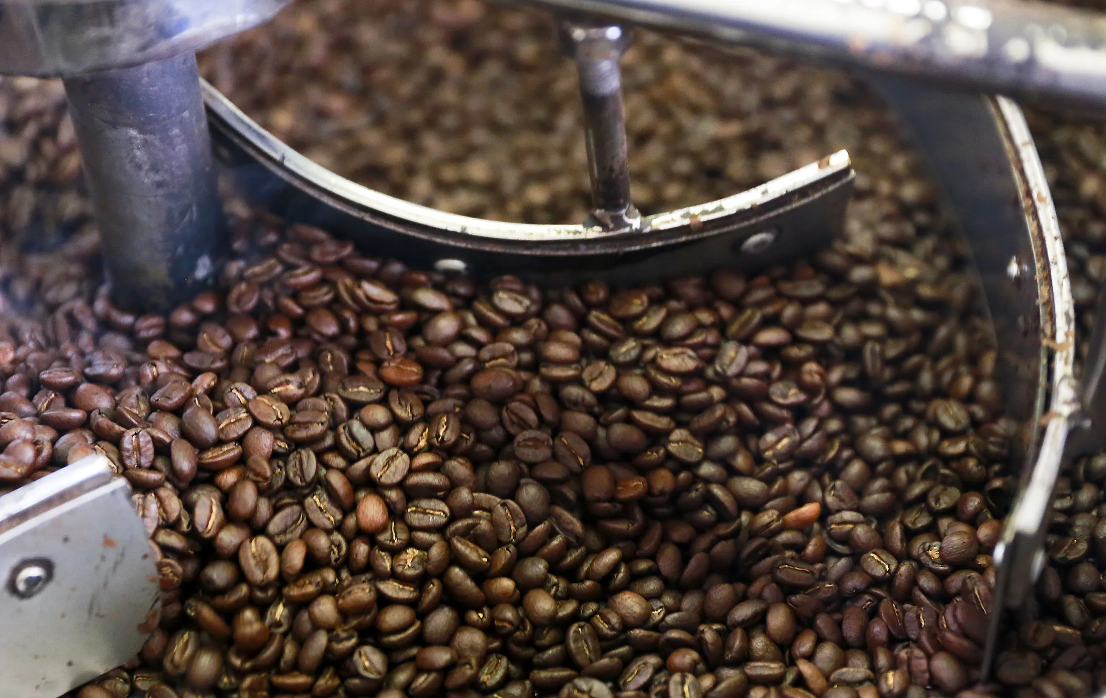 Coffee beans are cooled after the roasting process.
