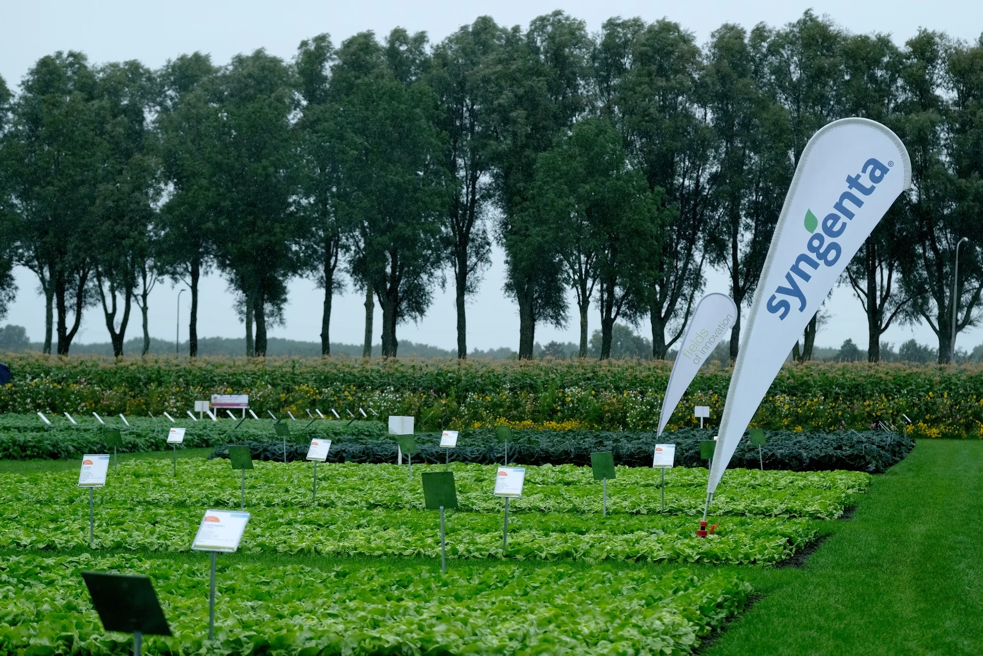 The Fields of Innovation crop site, operated by Syngenta AG, in Grootebroek, Netherlands.