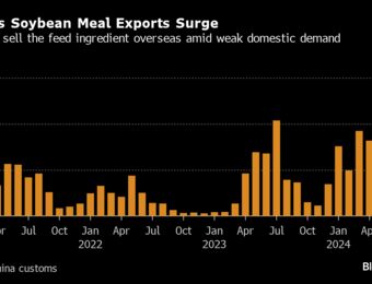 relates to China Turns to Exporting Livestock Feed on Weak Domestic Demand