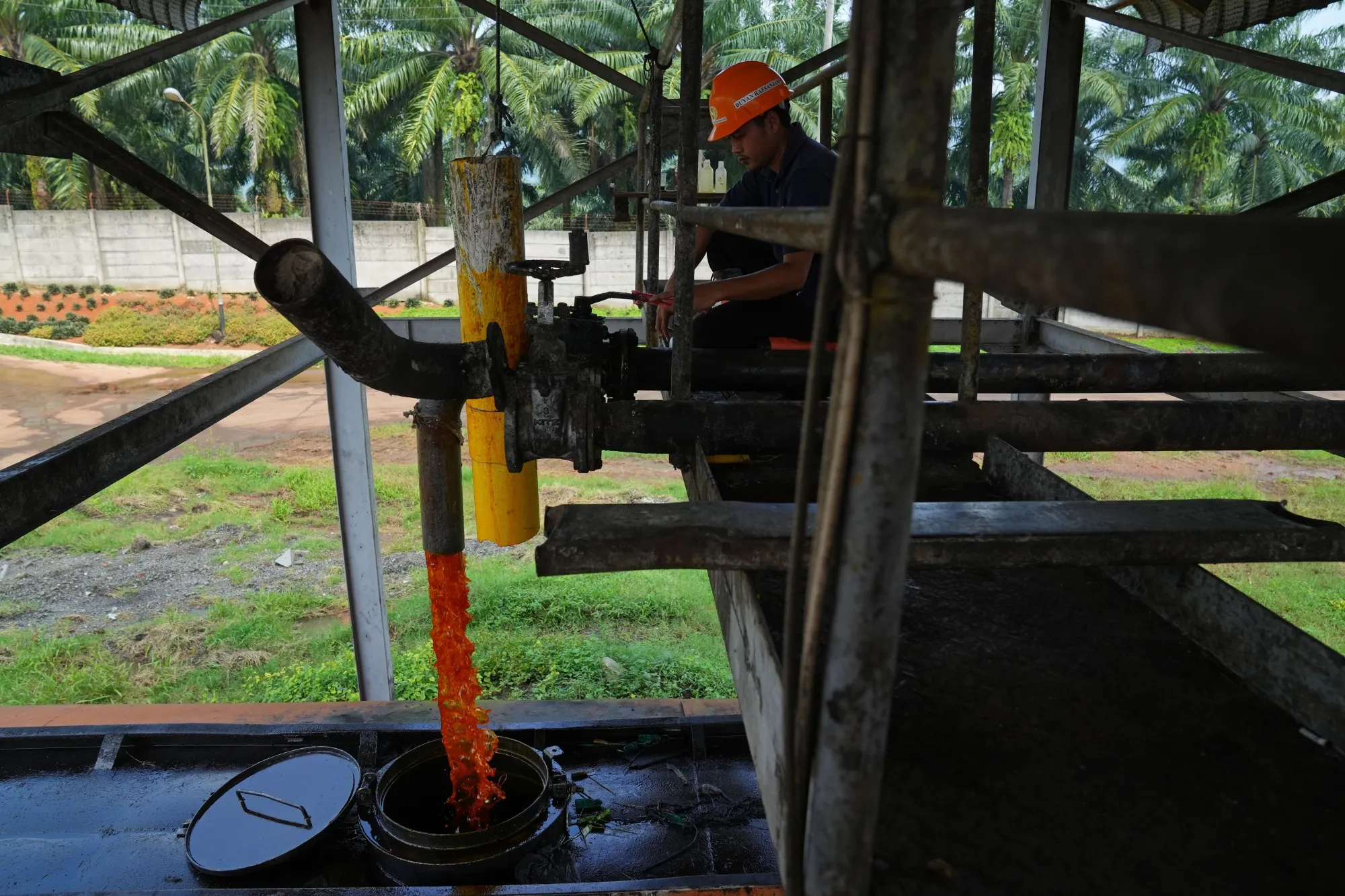 Crude palm oil at a palm oil processing factory in West Java, Indonesia.
