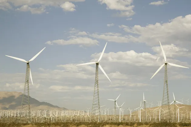 MBA Rankings: Top Schools for Sustainability