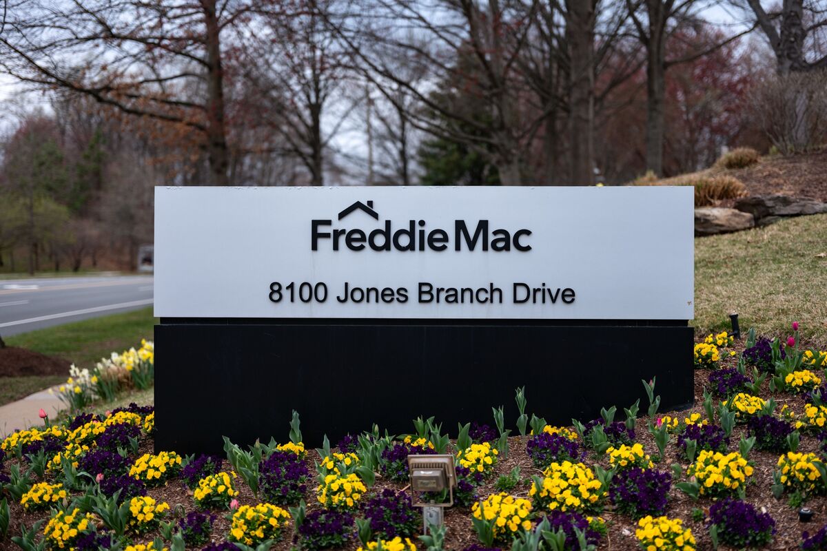 The Fannie and Freddie Stakes Are High - Bloomberg