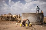 Camels weak from lack of sustenance stand behind a salt water well as they migrate to find food near Mochesa in Wajir county in Nairobi, Kenya&nbsp;on Dec. 9, 2021.