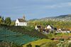Vineyards and chapel in Rheinau, Switzerland.