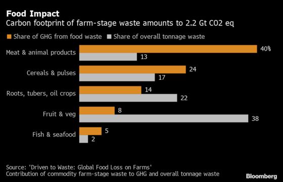 The Global Food Waste Crisis Is Even Bigger Than We Thought