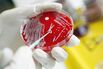 1467165998_petri dish