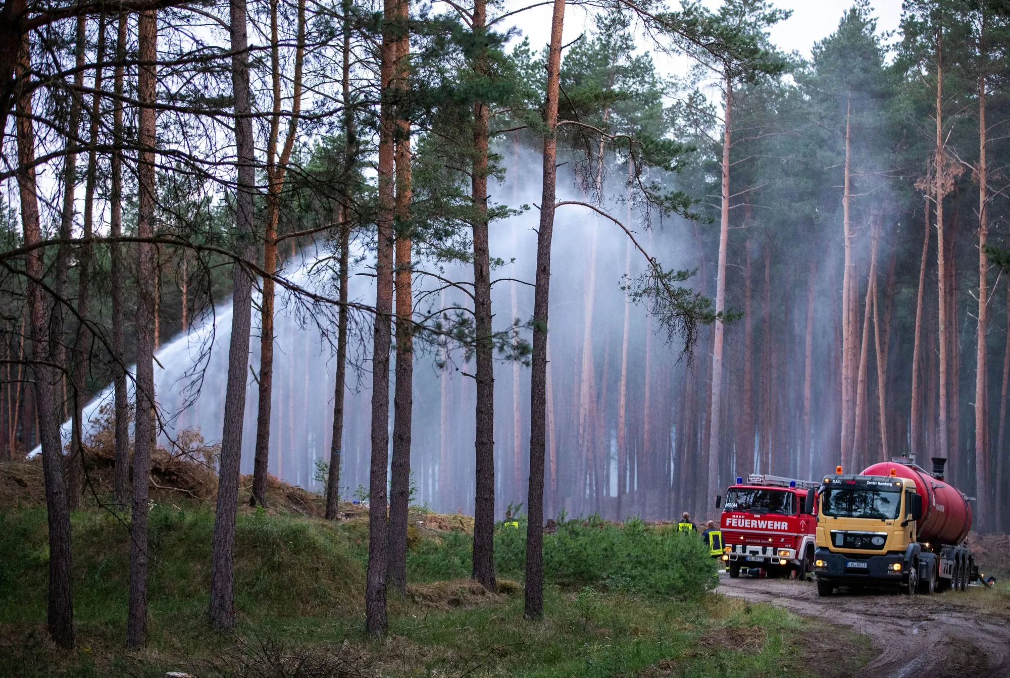 Firefighters hose water on&nbsp;trees in a forest near the evacuated locality of Alt Jabel on July 1.