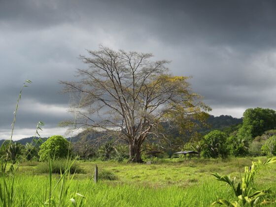 For $24 Million You Can Buy 3,300 Acres of Costa Rican Paradise