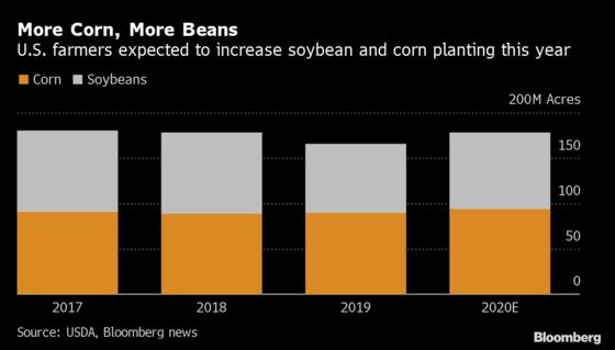 Virus Anxiety Makes Corn the Safer Bet for America’s Farmers