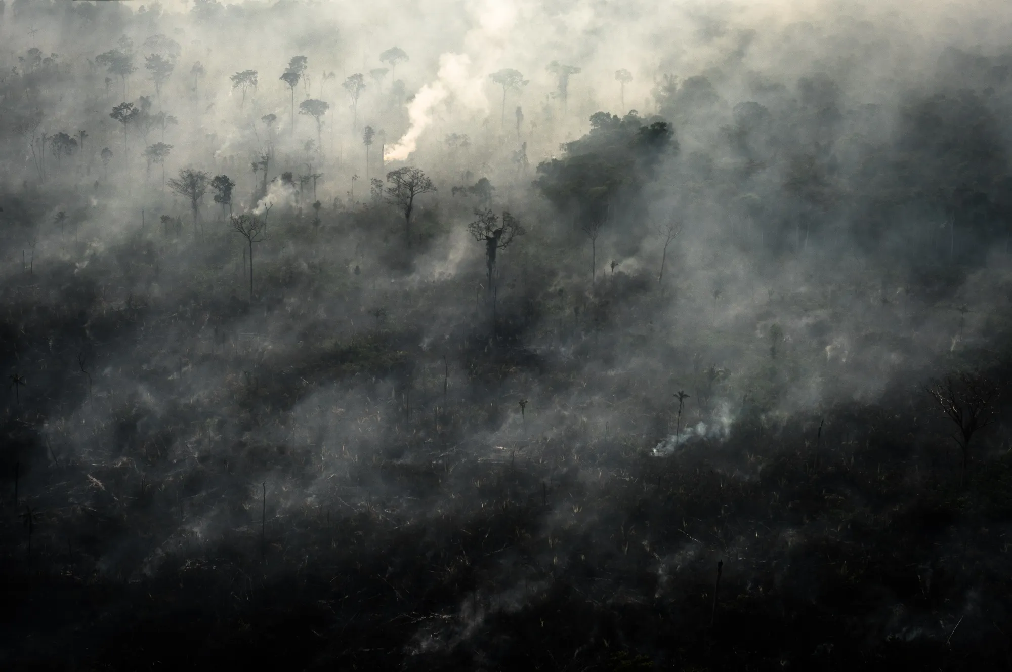 Smoke rises as a fire burns in the Amazon rainforest in this&nbsp;photograph taken above the Candeias do Jamari region of Porto Velho, Rondonia state, Brazil, in&nbsp;2019.&nbsp;