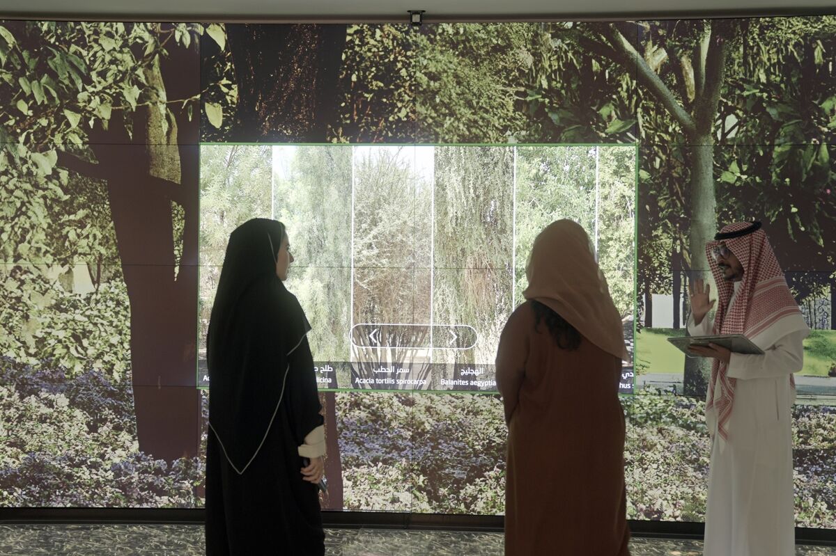 Saudi’s PIF, Engie Among Borrowers Diving Into Green Debt Boom