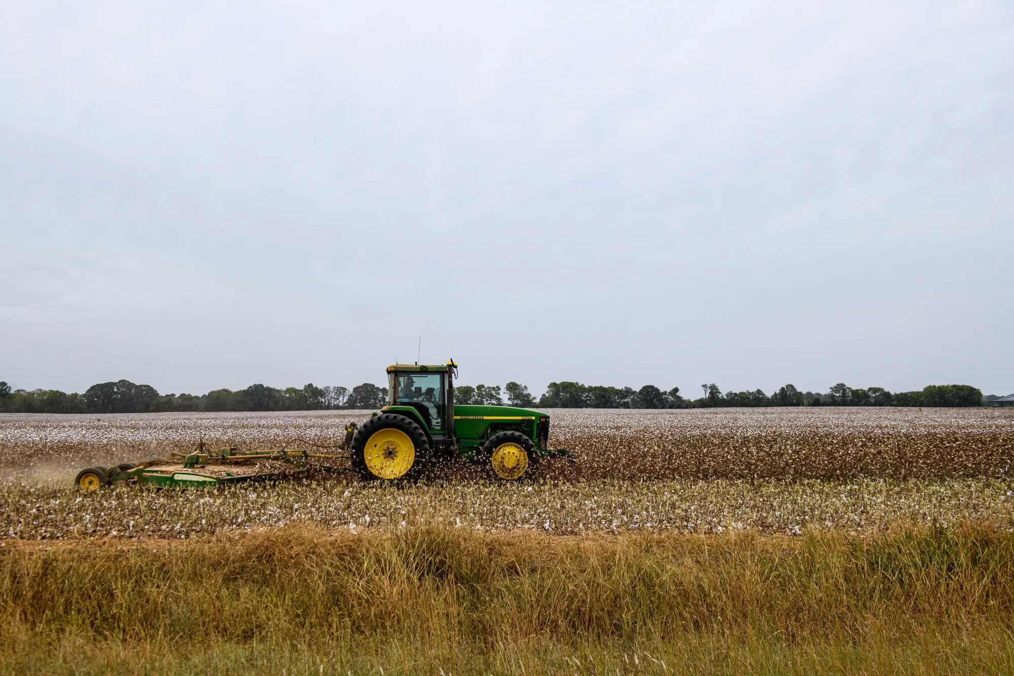 A farmer harvests cotton in Town Creek, Alabama, US, in&nbsp;2023.