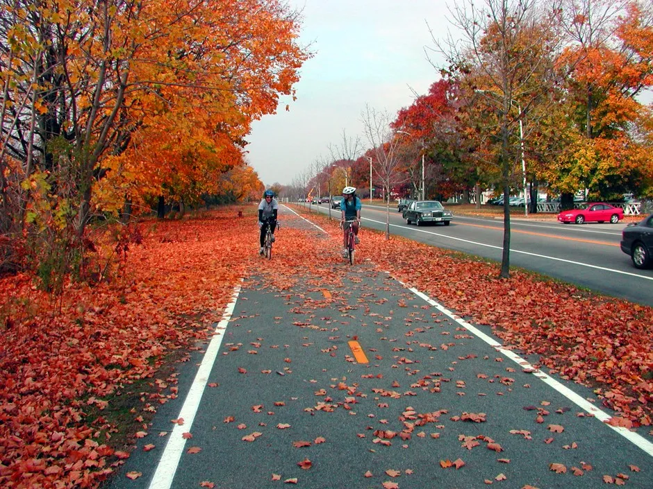 A section of the East Coast Greenway in East Bay, Rhode Island.
