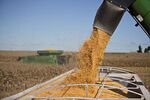 China to Propose $30 Billion More U.S. Agriculture Purchases