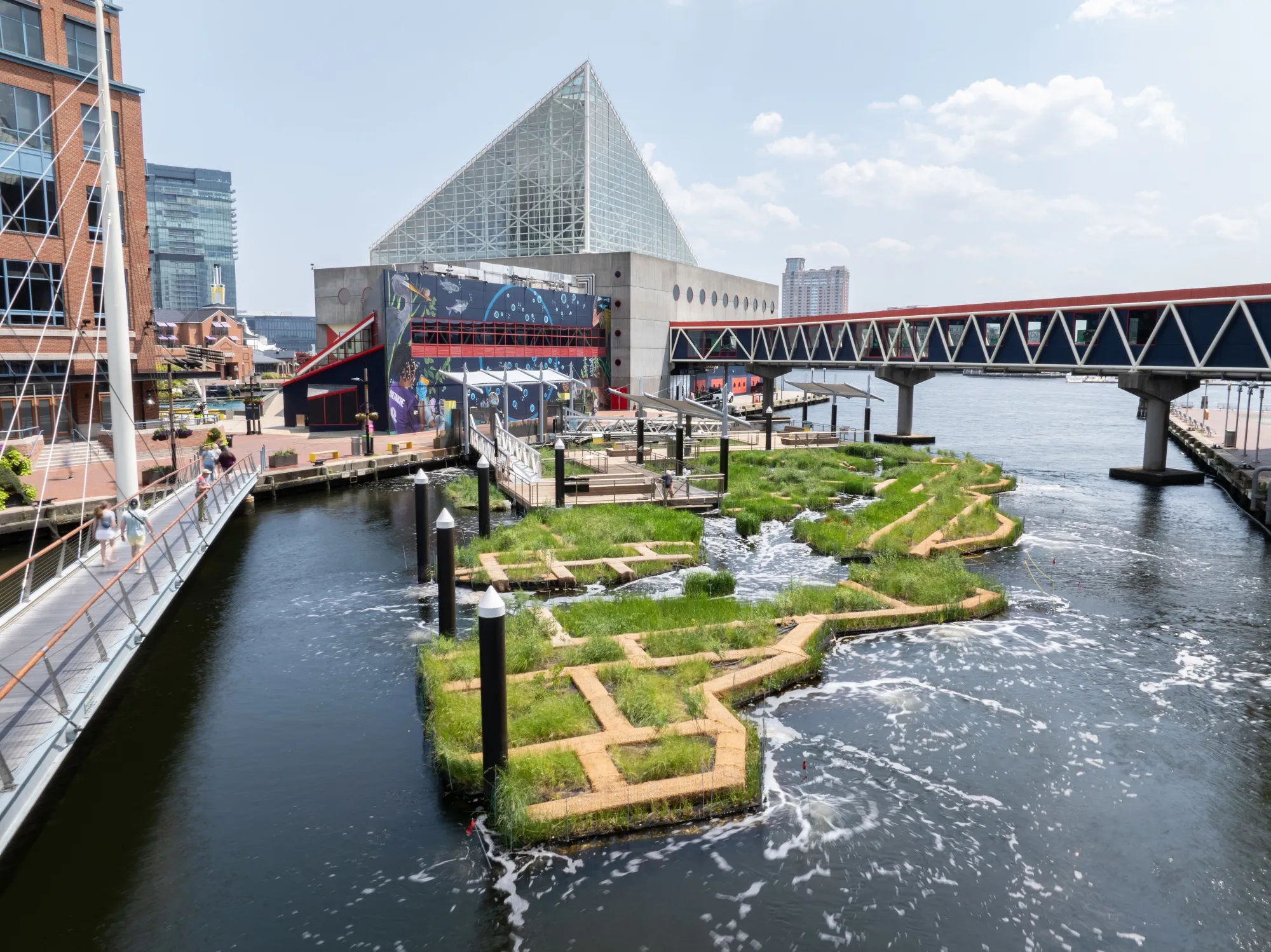 The Harbor Wetland, next to the National Aquarium in Baltimore, is both a public space and a pollution-fighting waterfront feature.&nbsp;