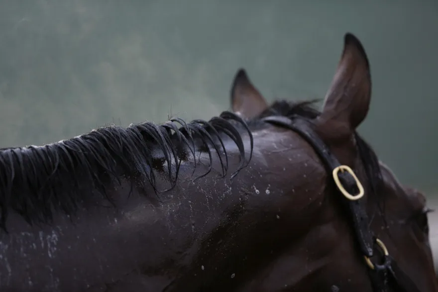 The 141st Running Of The Kentucky Derby