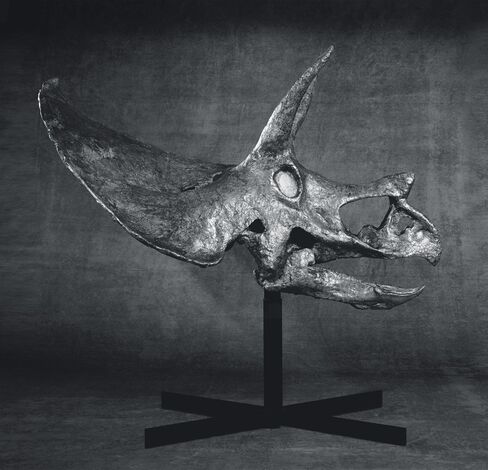 This triceratops skull, offered by a Hong Kong dealer, had a price tag of $1.8 million