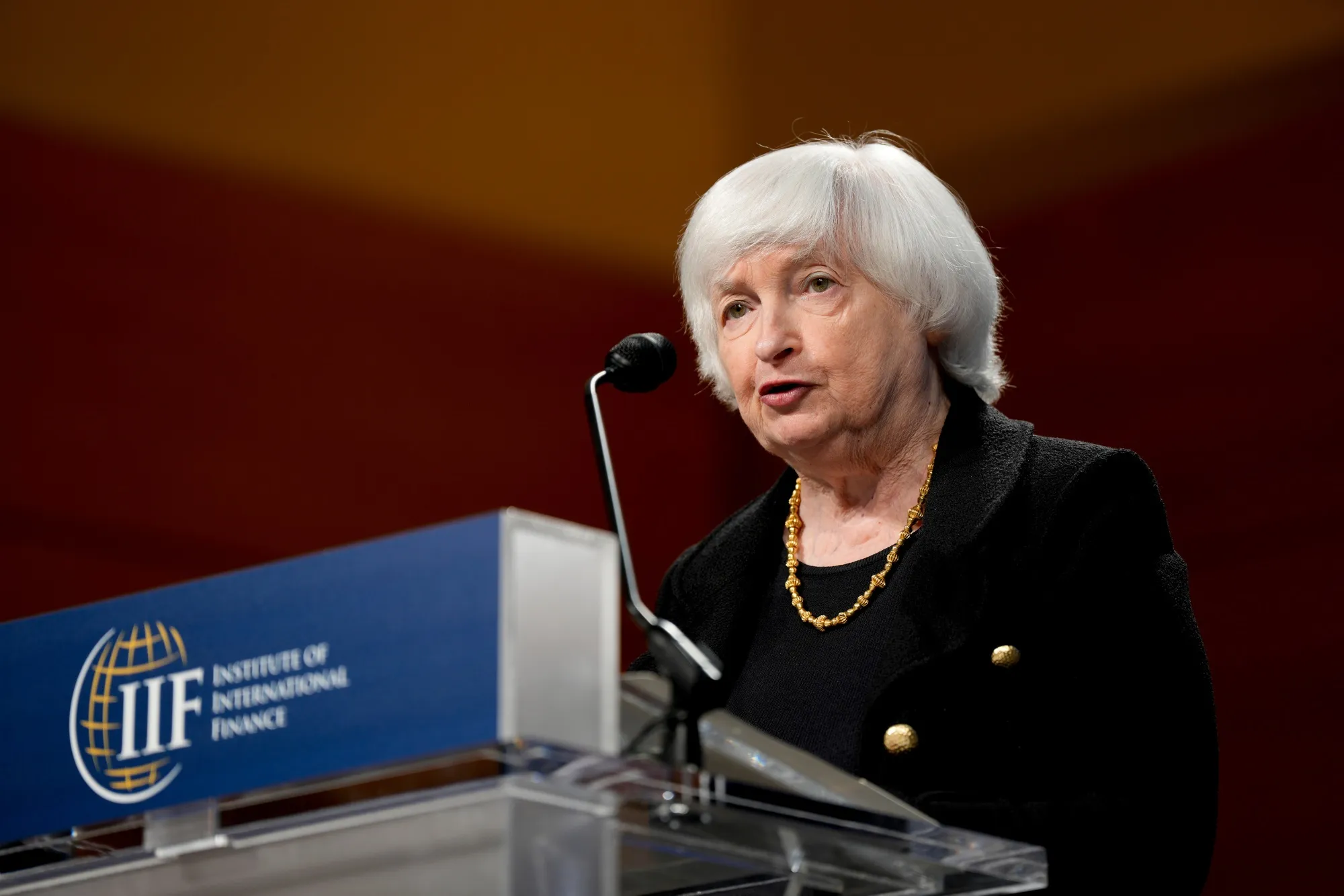 Former US Treasury Secretary Janet Yellen in Washington in October 2024.
