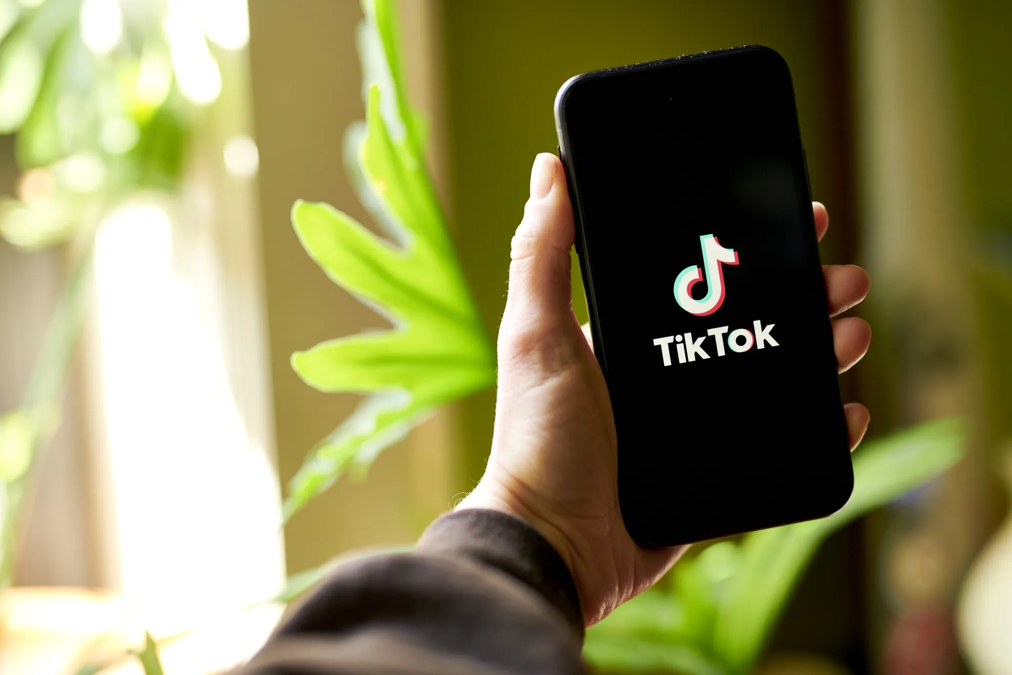 The TikTok logo on a smartphone.