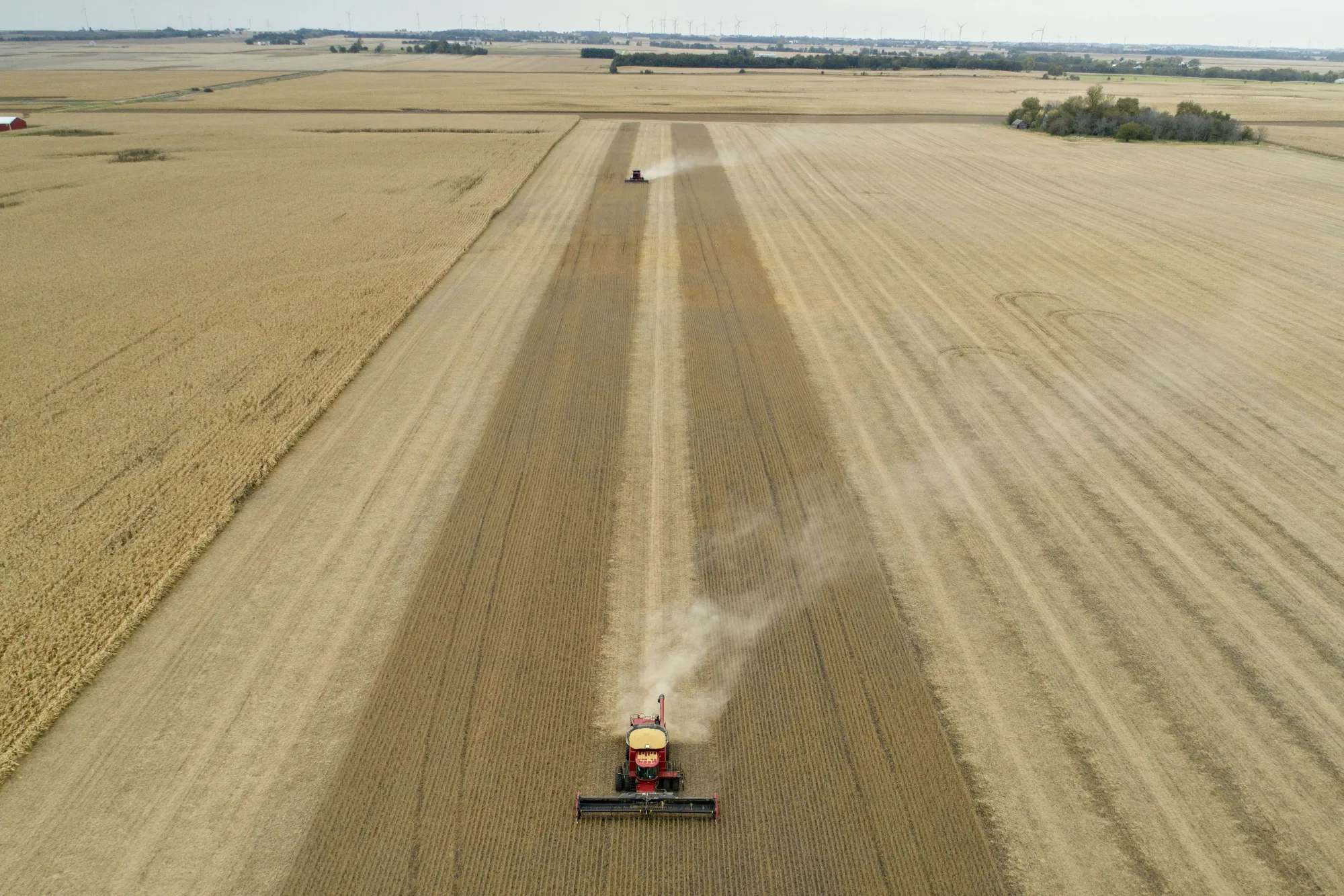 Farmers&nbsp;harvest soybeans in&nbsp;Wyanet, Illinois, U.S..