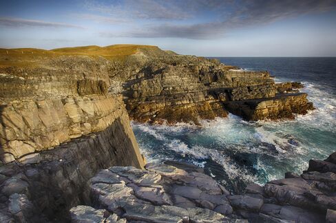 Mistaken Point, in Newfoundland, Canada.
