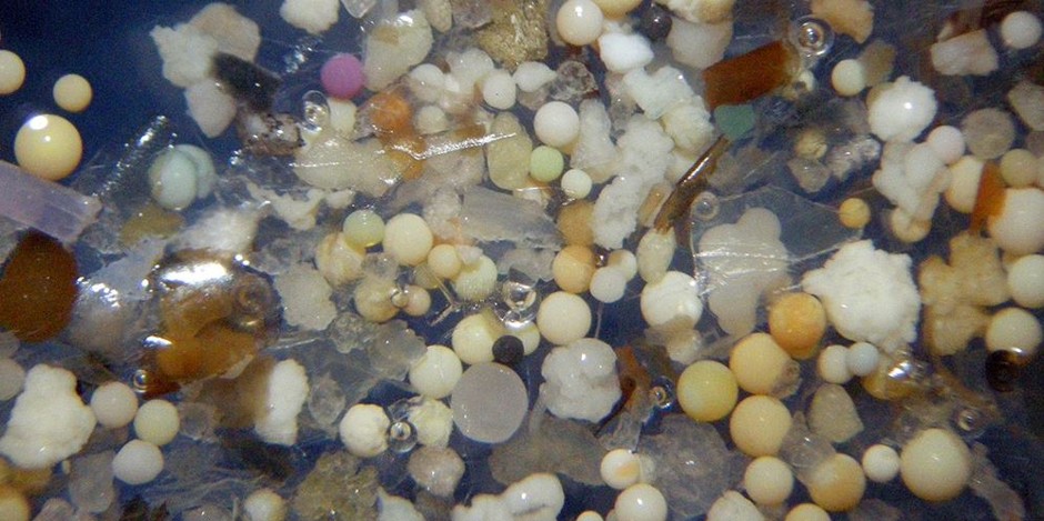 A sample of plastic particles measuring less than a millimeter found in the Rhine near Duisburg, Germany.