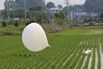 Koreas Tensions
