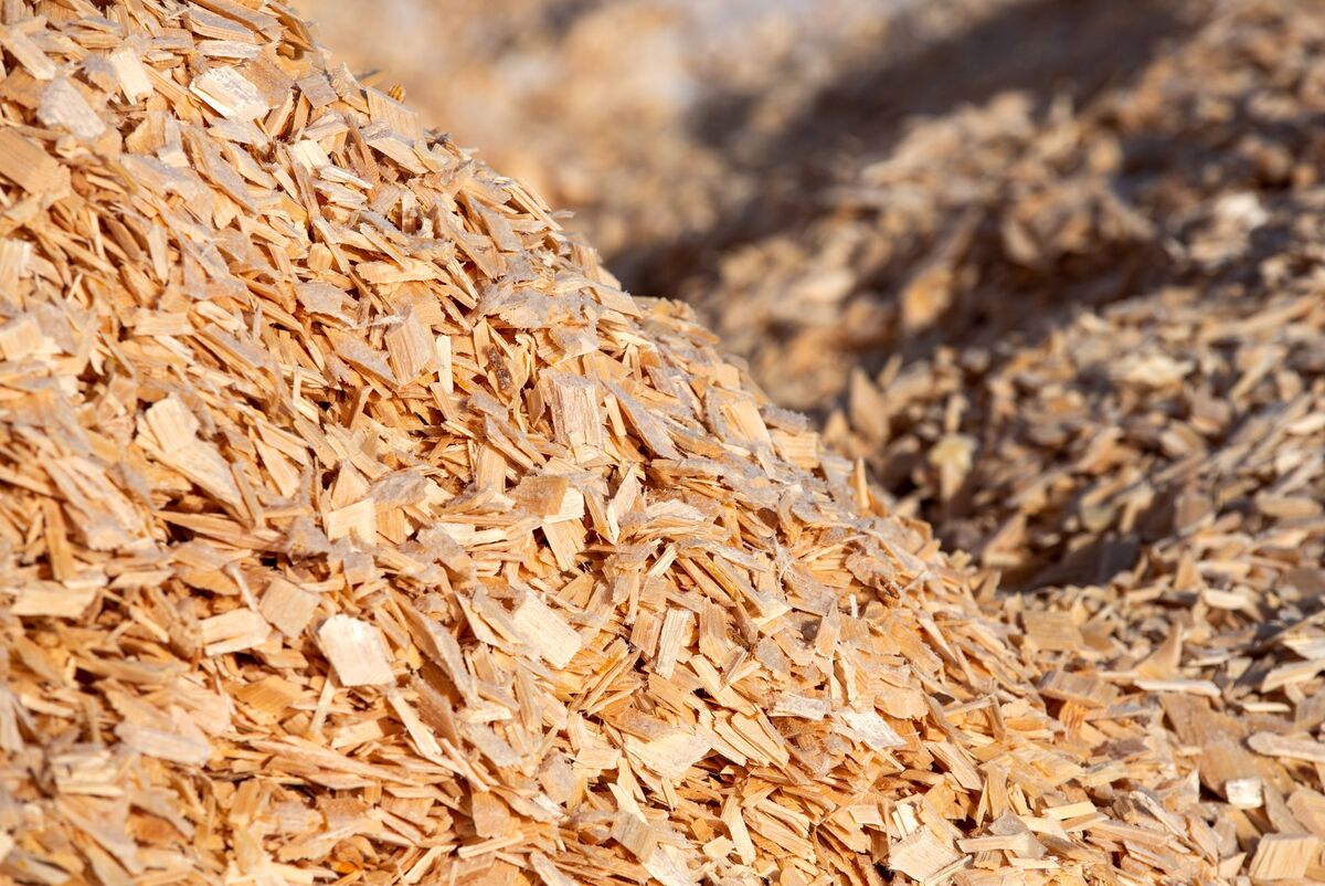 Brazil’s Suzano Cuts Pulp Production on Uncertainty Over Tariffs