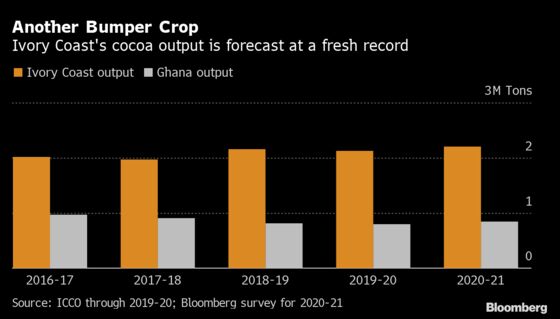 Big African Cocoa Harvest Starts With Political, Demand Woes