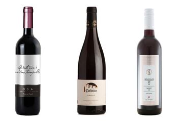 Vinhos tintos brilhantes da esquerda: Paolo Cali Osa Frappato Rosato;  Ferruccio Carlotto Schiava Vigneti delle Dolomiti IGT;  Zweigelt 2013