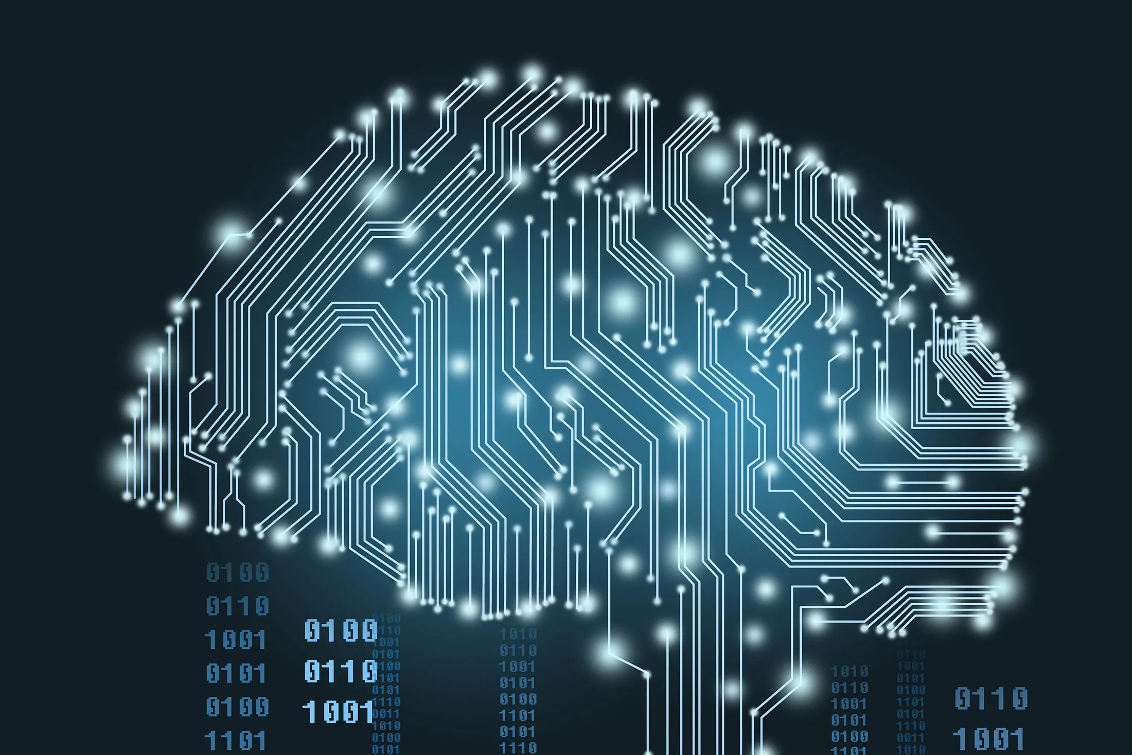Digital Human Brain Covered with Networks